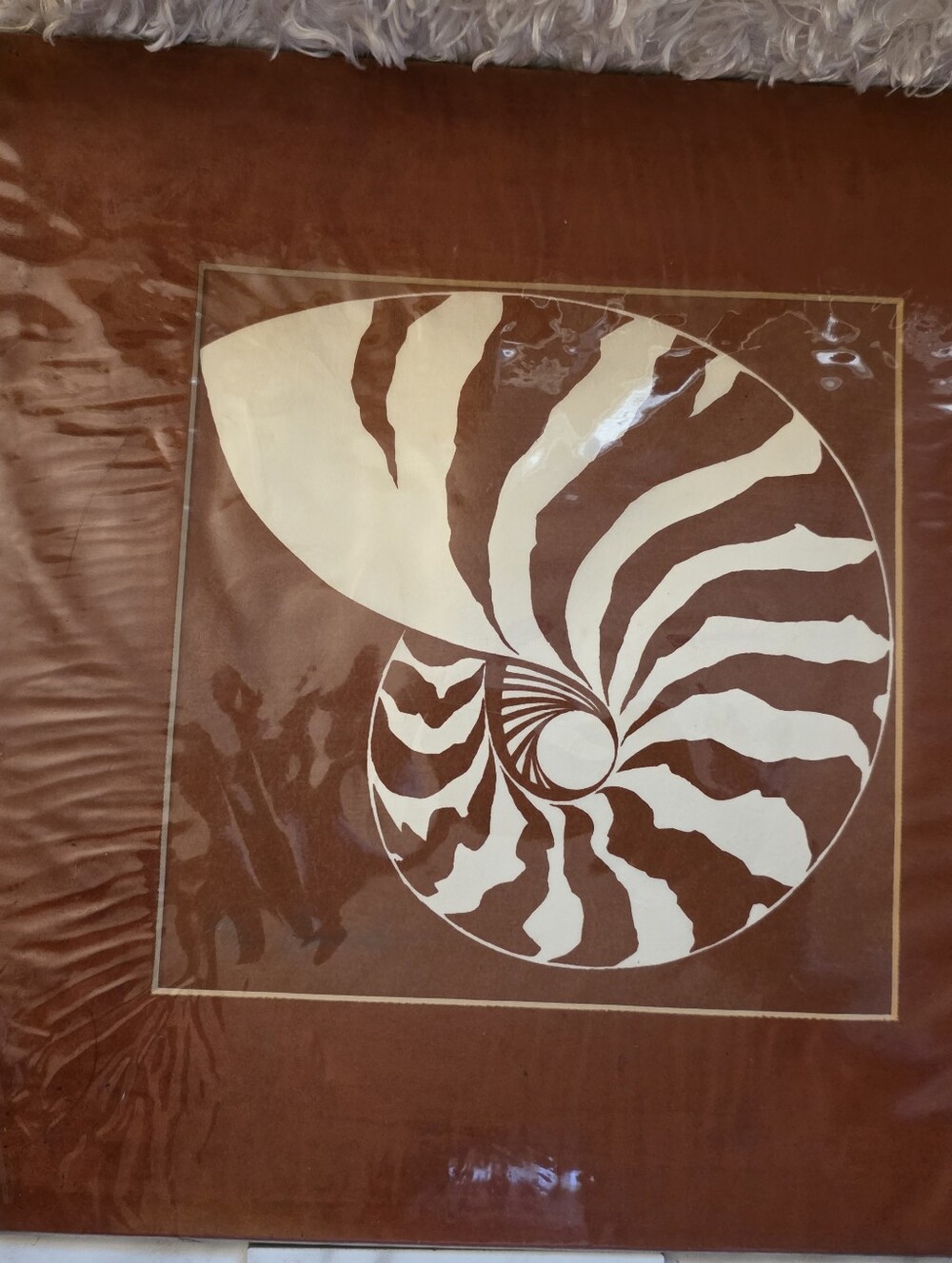 Nautilus Wall Art in Brown and Cream Velvet Signed